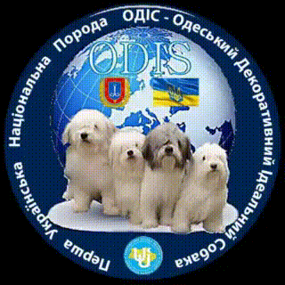 ОДИС - украинская национальная порода собак-компаньонов